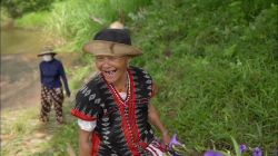 Phát động chiến dịch truyền thông "Bình Điền xin chào"